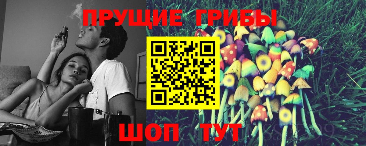 Галлюциногенные грибы Psilocybe Кандалакша