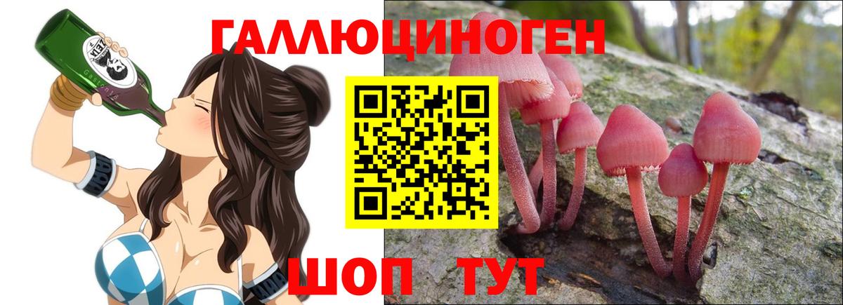 Кандалакша  Псилоцибиновые грибы Cubensis  Вход с VPN 